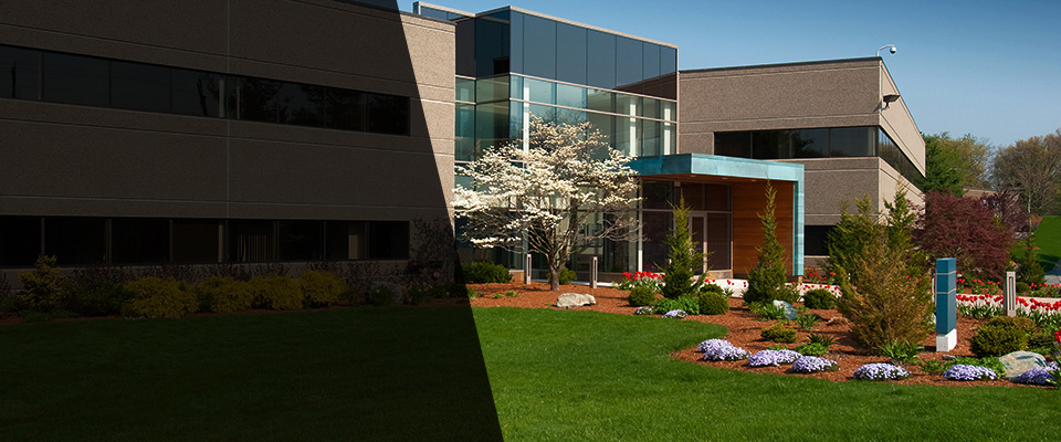 Puposky Landscapers