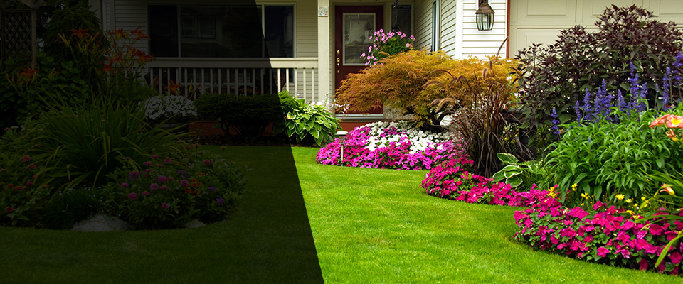 Puposky Landscapers
