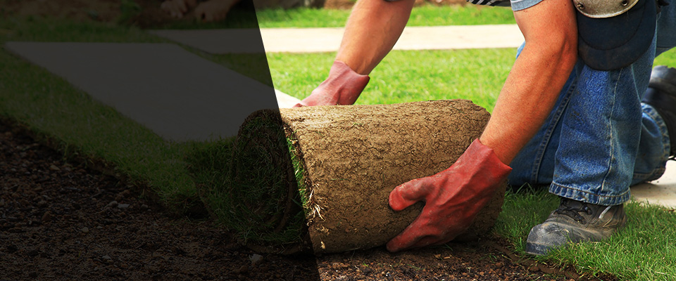 Puposky Landscapers